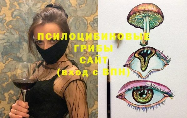 сатива Алексин