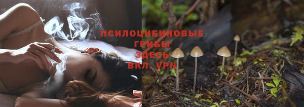 трава Алзамай