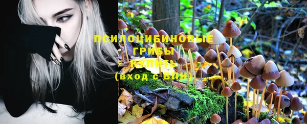 ПСИЛОЦИБИНОВЫЕ ГРИБЫ Алексеевка