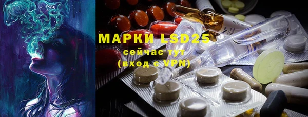 ПСИЛОЦИБИНОВЫЕ ГРИБЫ Абаза