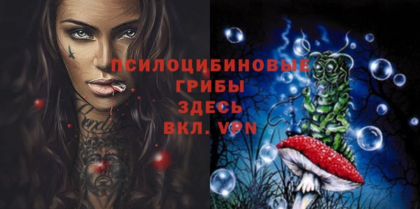 ПСИЛОЦИБИНОВЫЕ ГРИБЫ Алексеевка