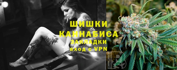 ПСИЛОЦИБИНОВЫЕ ГРИБЫ Алексеевка