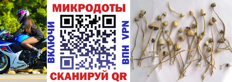 Галлюциногенные грибы Magic Shrooms Нестеров